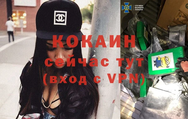 сатива Абинск