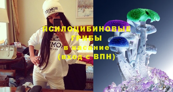 сатива Абинск