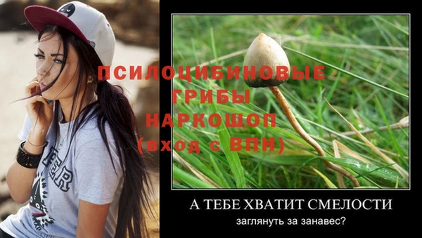 COCAINE Алзамай