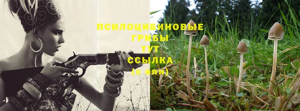 а пвп мука Алексеевка